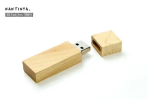 Nantinya_USB Flash Drive FDWD01_01